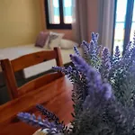 Lavender 4*