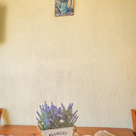 Lavender *