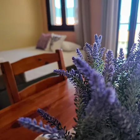 Lavender *